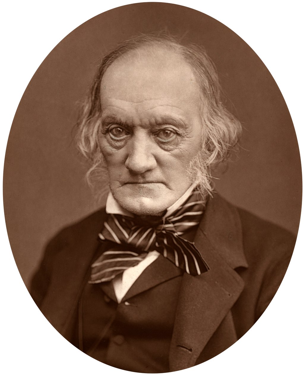 Richard Owen, 1878. alkotó: Lock and Whitfield