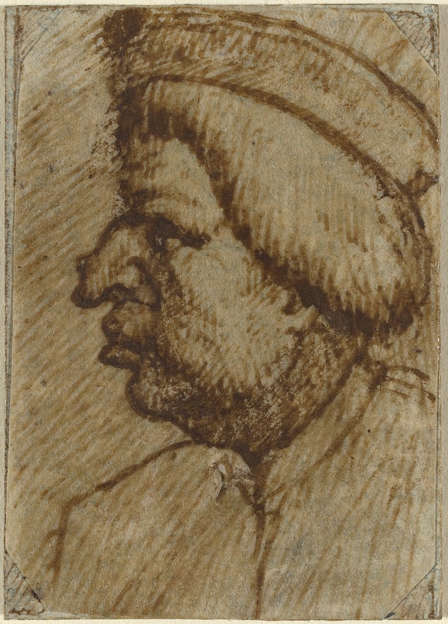 Egy férfi profilja alkotó: Lombard 16th Century