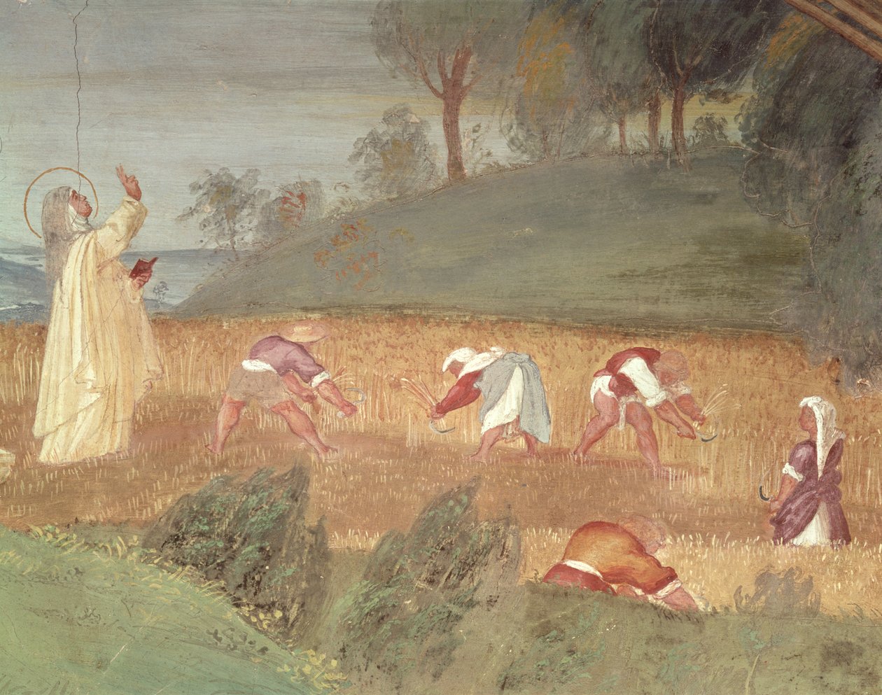 Assisi Szent Klára csodái, a betakarítást megáldó Szent Klára részlete, 1523-24 alkotó: Lorenzo Lotto