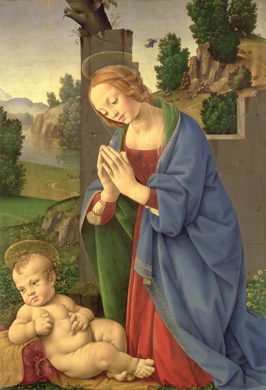 A gyermeket imádó szűz, 1490-1500 (olaj, fa) alkotó: Lorenzo di Credi
