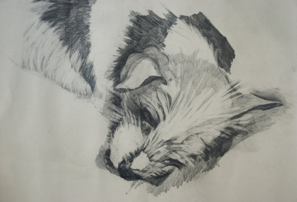 Jack Russel, 2015, alkotó: Lou Gibbs