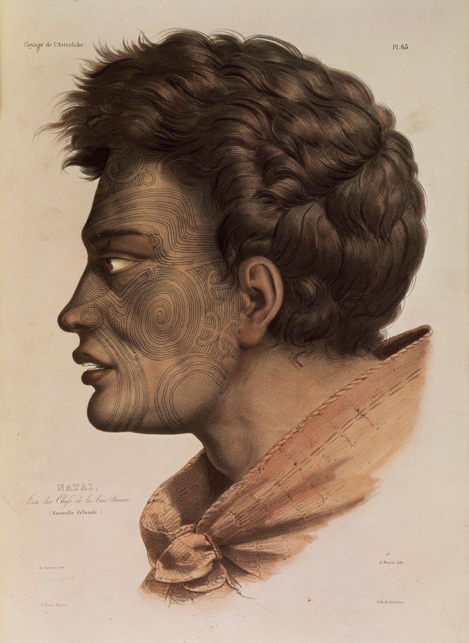 Natai, egy maori főnök az új-zélandi Bream Bay-ből, a „Voyage of the Astrolabe” 63-as táblája, Victor Adam metszettje, 1833 alkotó: Louis Auguste de Sainson