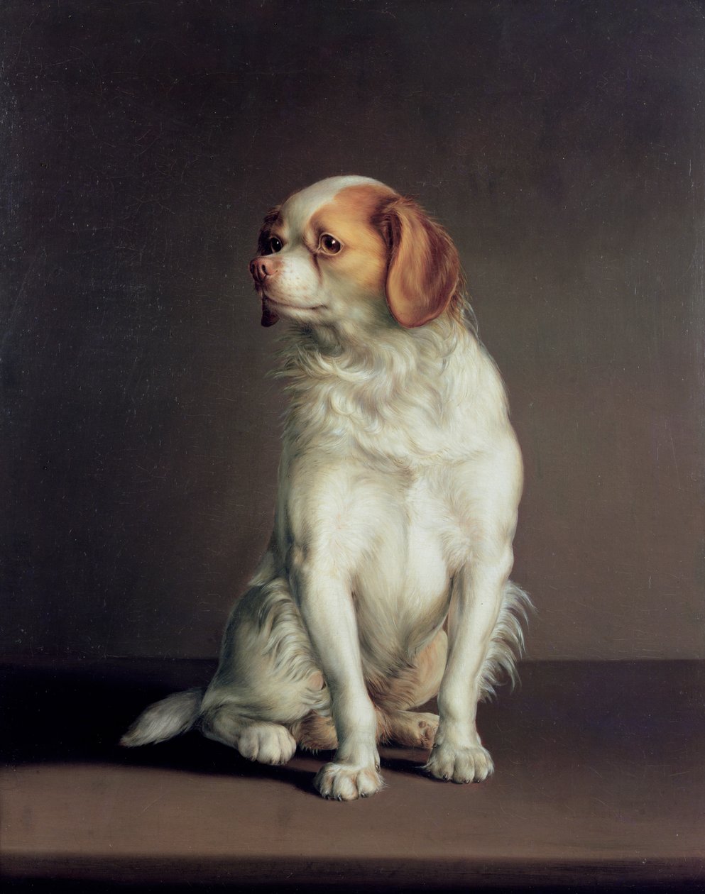 Károly király spániel portréja alkotó: Louis Leopold Boilly