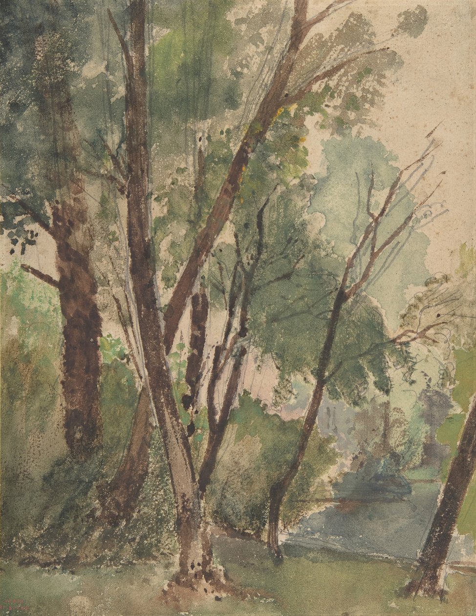 Fák a tó mellett, 1853-1878. alkotó: Louis Antoine Leon Riesener