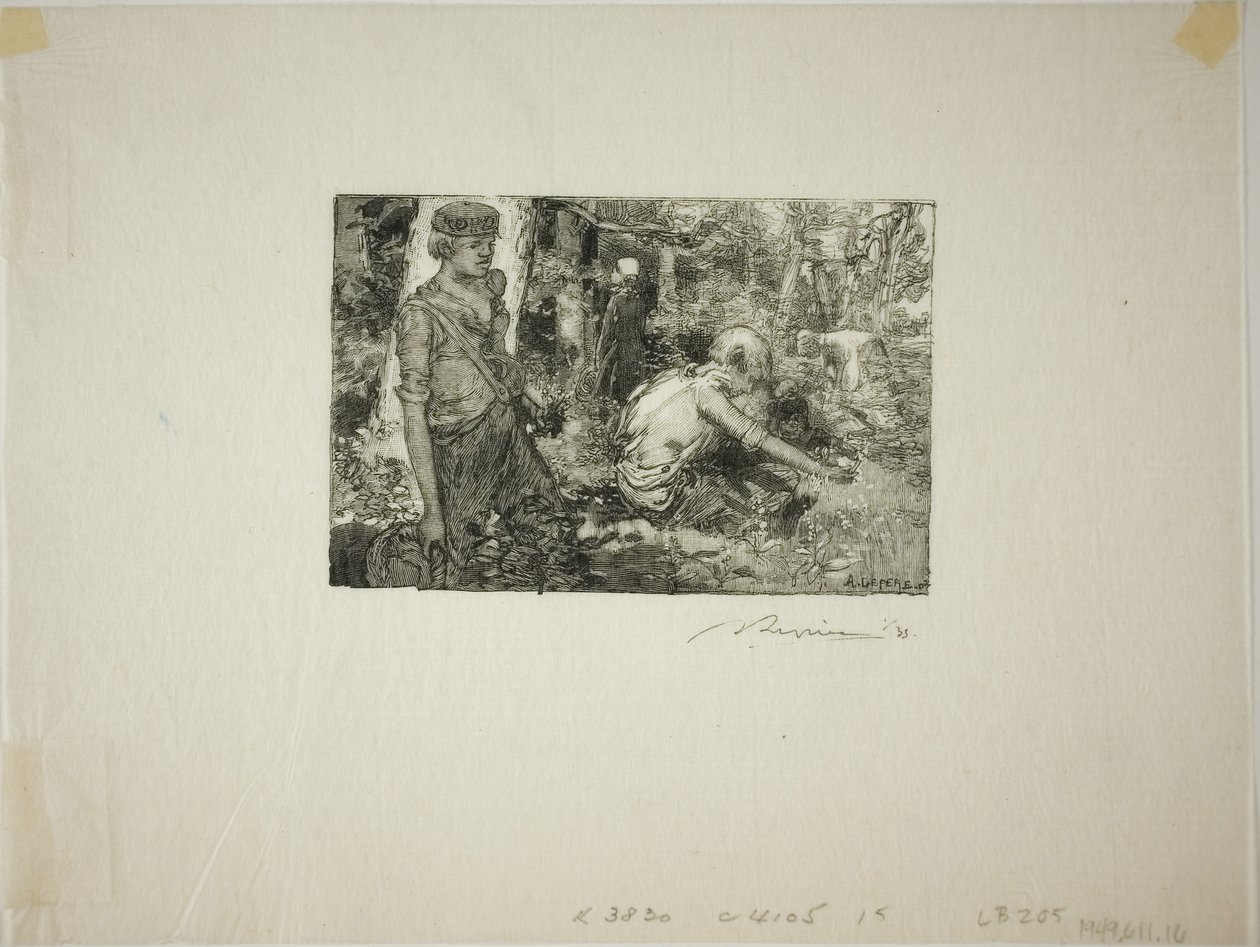 Gyűjtés Lily-of-the-Valley alkotó: Louis Auguste Lepère