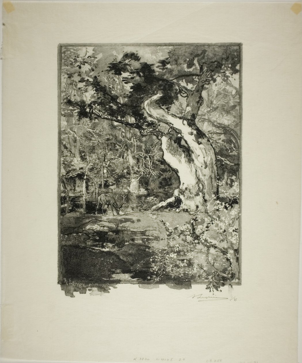 Le Clovis, Plateau de Bellecroix alkotó: Louis Auguste Lepère