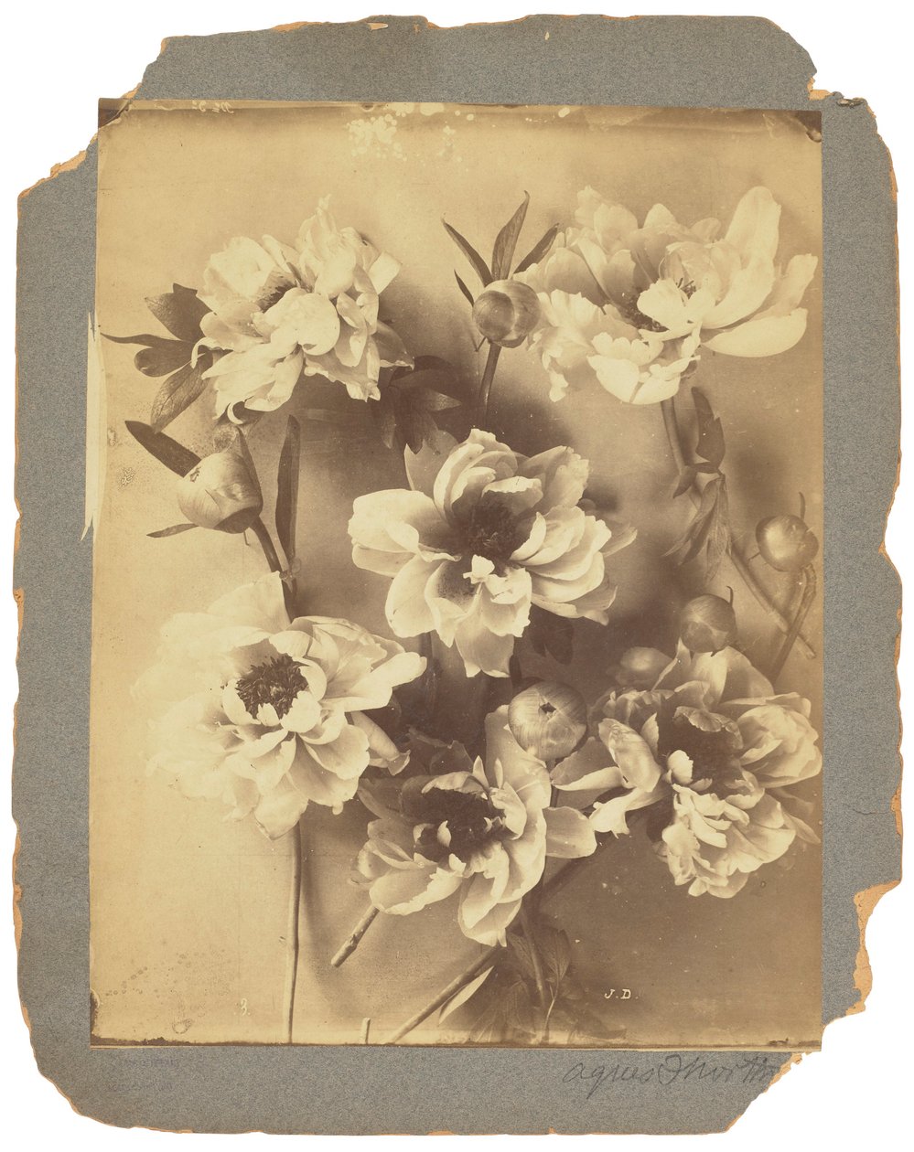 Tiffany Studios, 1898-1920 (f/f fénykép) alkotó: Louis Comfort Tiffany
