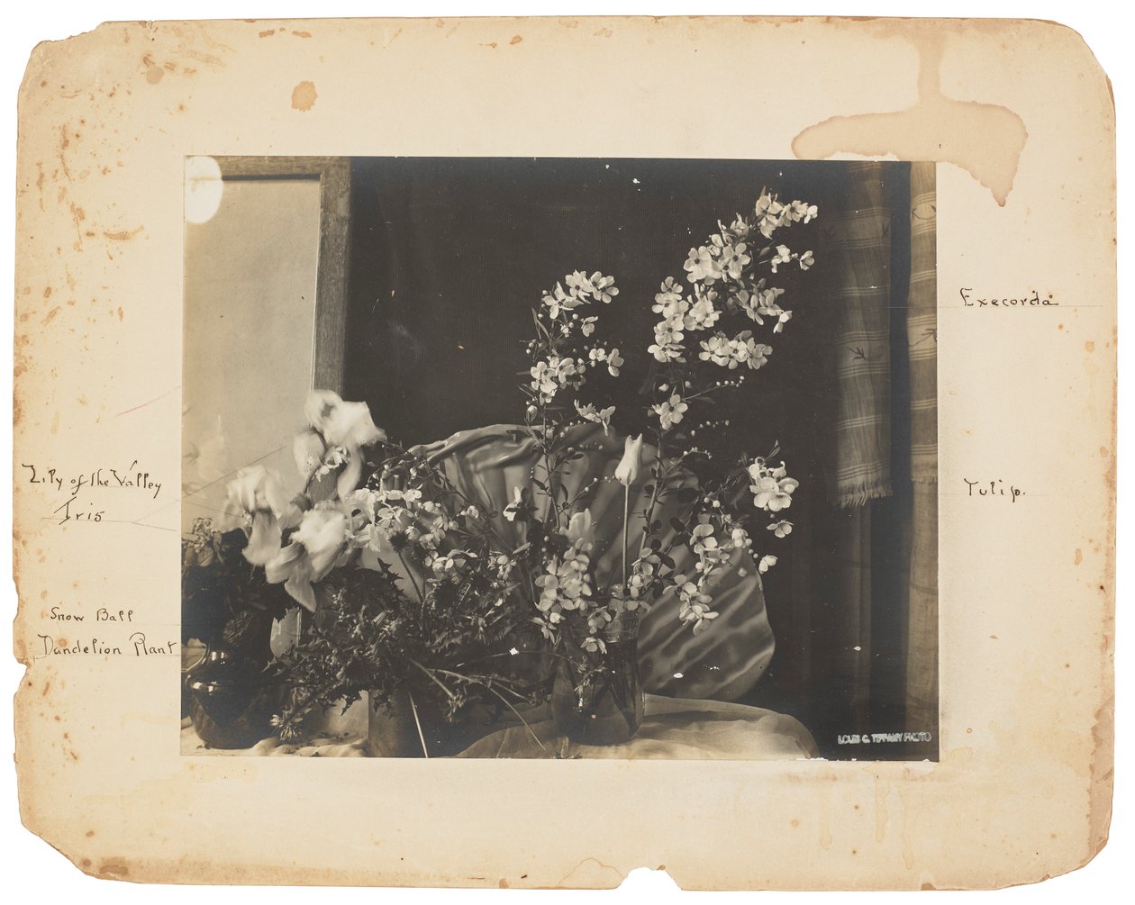 Tiffany Studios, 1898-1920 (f/f fénykép) alkotó: Louis Comfort Tiffany
