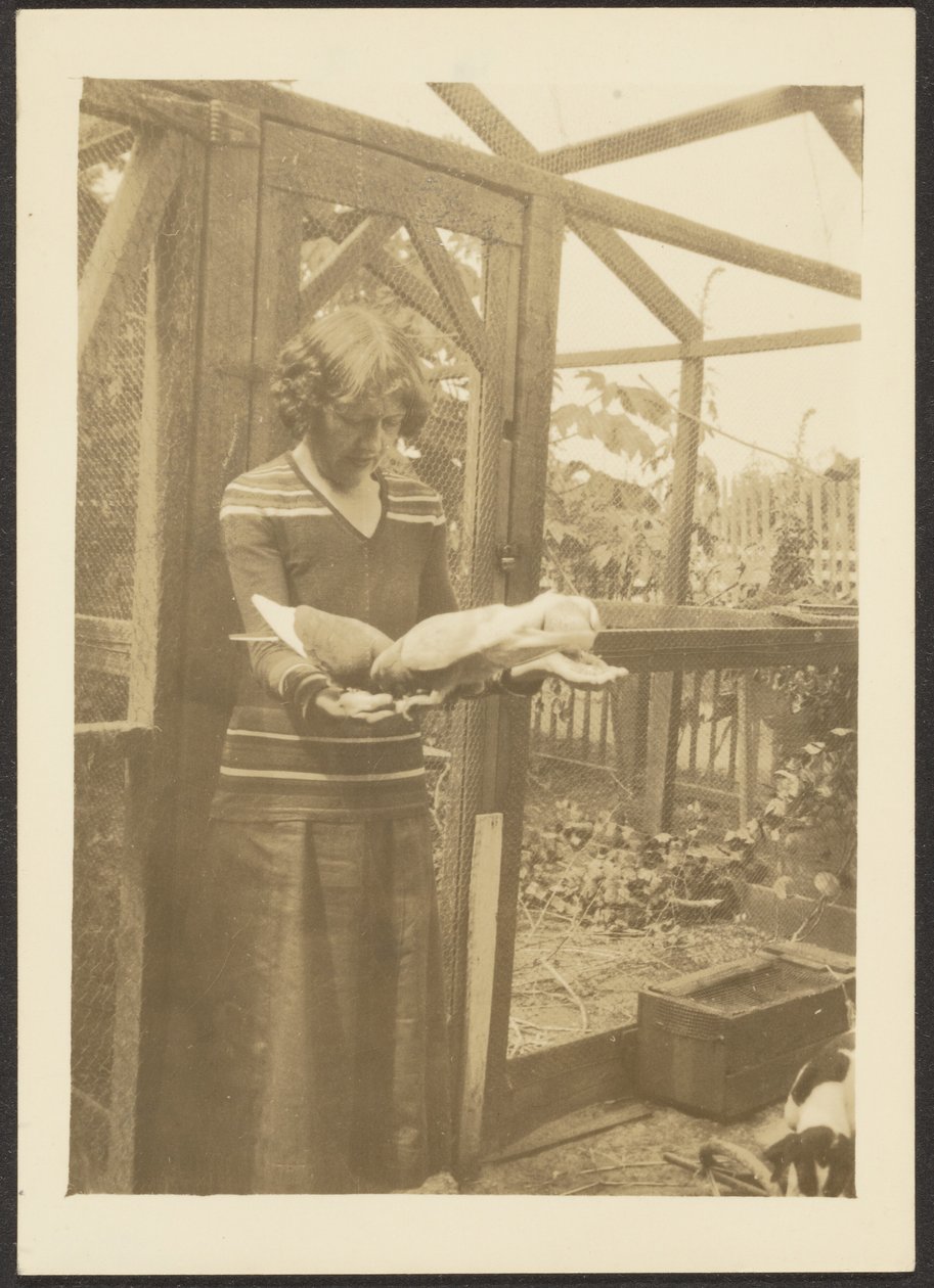 [Florence Feeding Pigeons] alkotó: Louis Fleckenstein