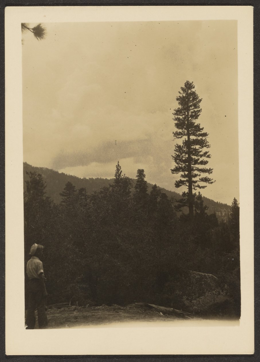 [Idyllwild] alkotó: Louis Fleckenstein