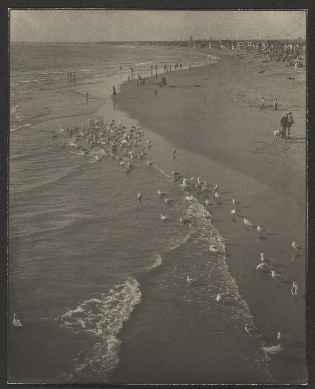 Newport Beach alkotó: Louis Fleckenstein