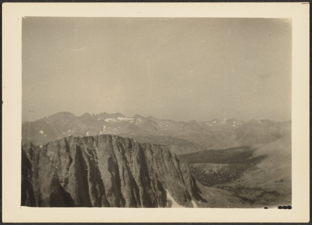 [Sequoia Park] alkotó: Louis Fleckenstein