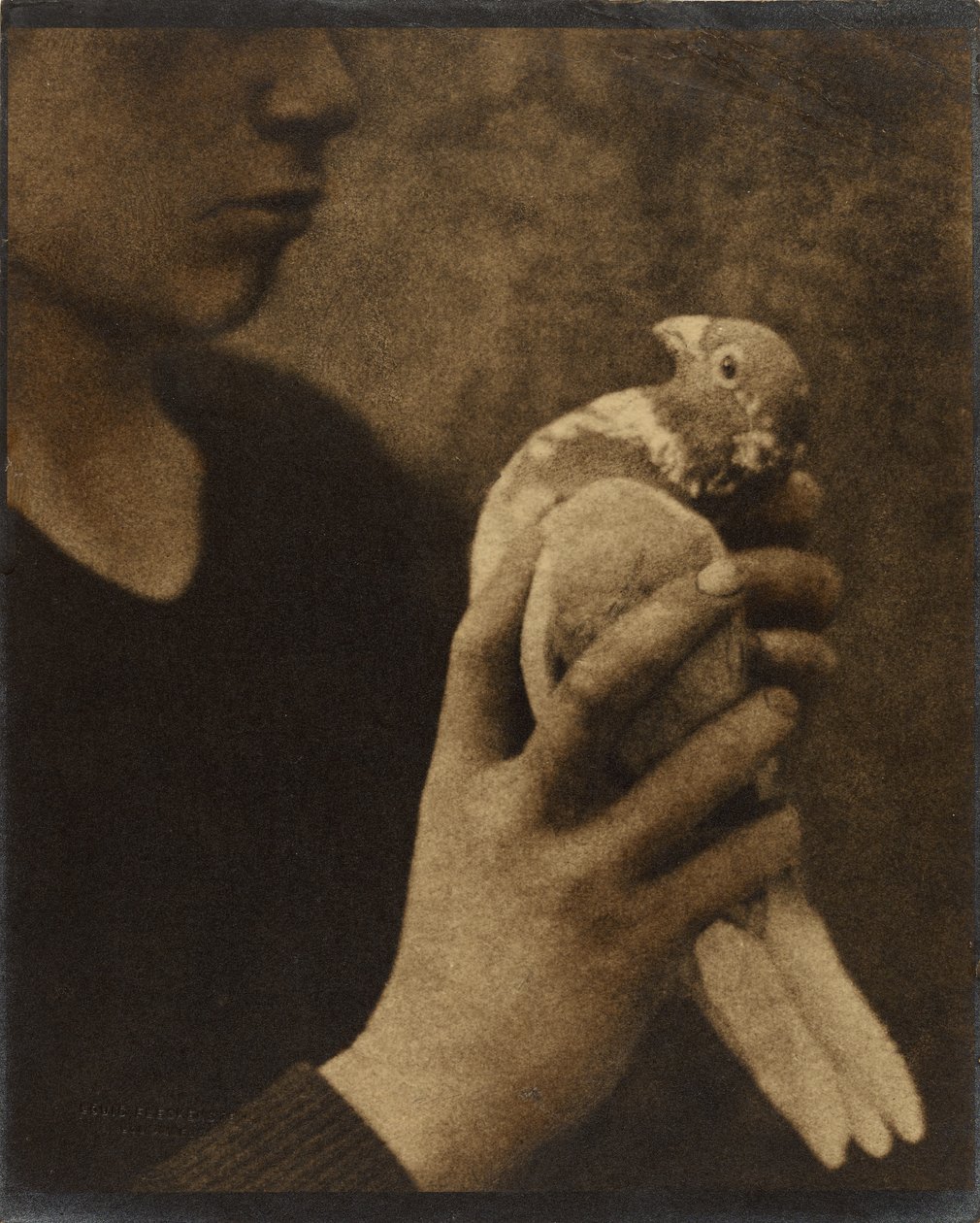A fáradt hírnök alkotó: Louis Fleckenstein