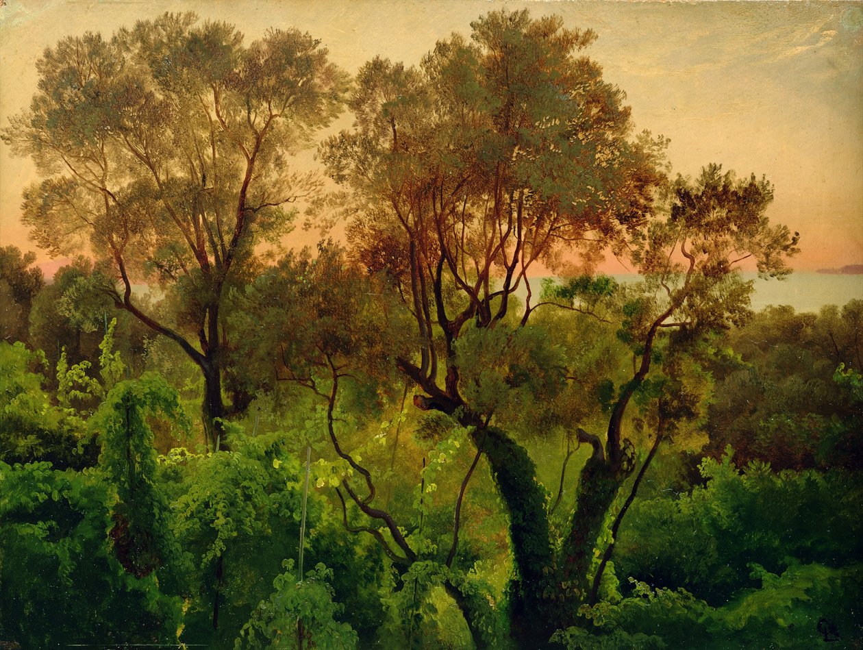 Lejtő olajfákkal alkotó: Louis Gurlitt