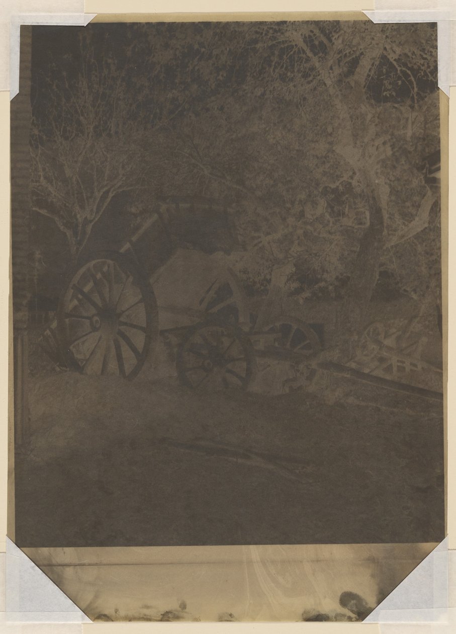 Kosár alkotó: Louis Rémy Robert