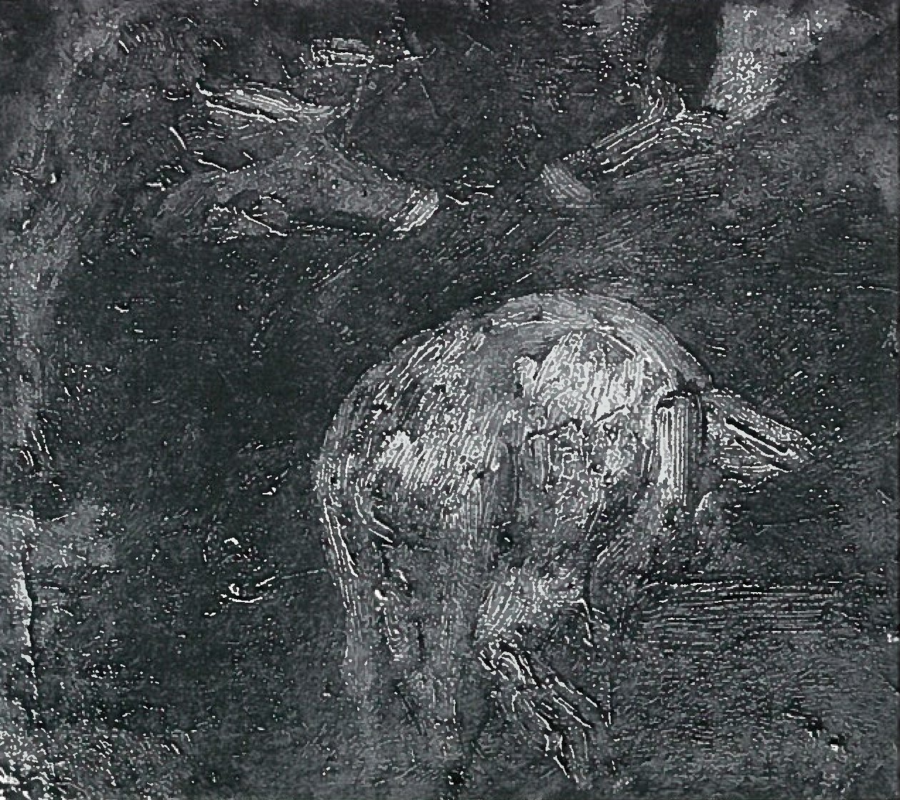 Sertés tanulmányok alkotó: Lovis Corinth