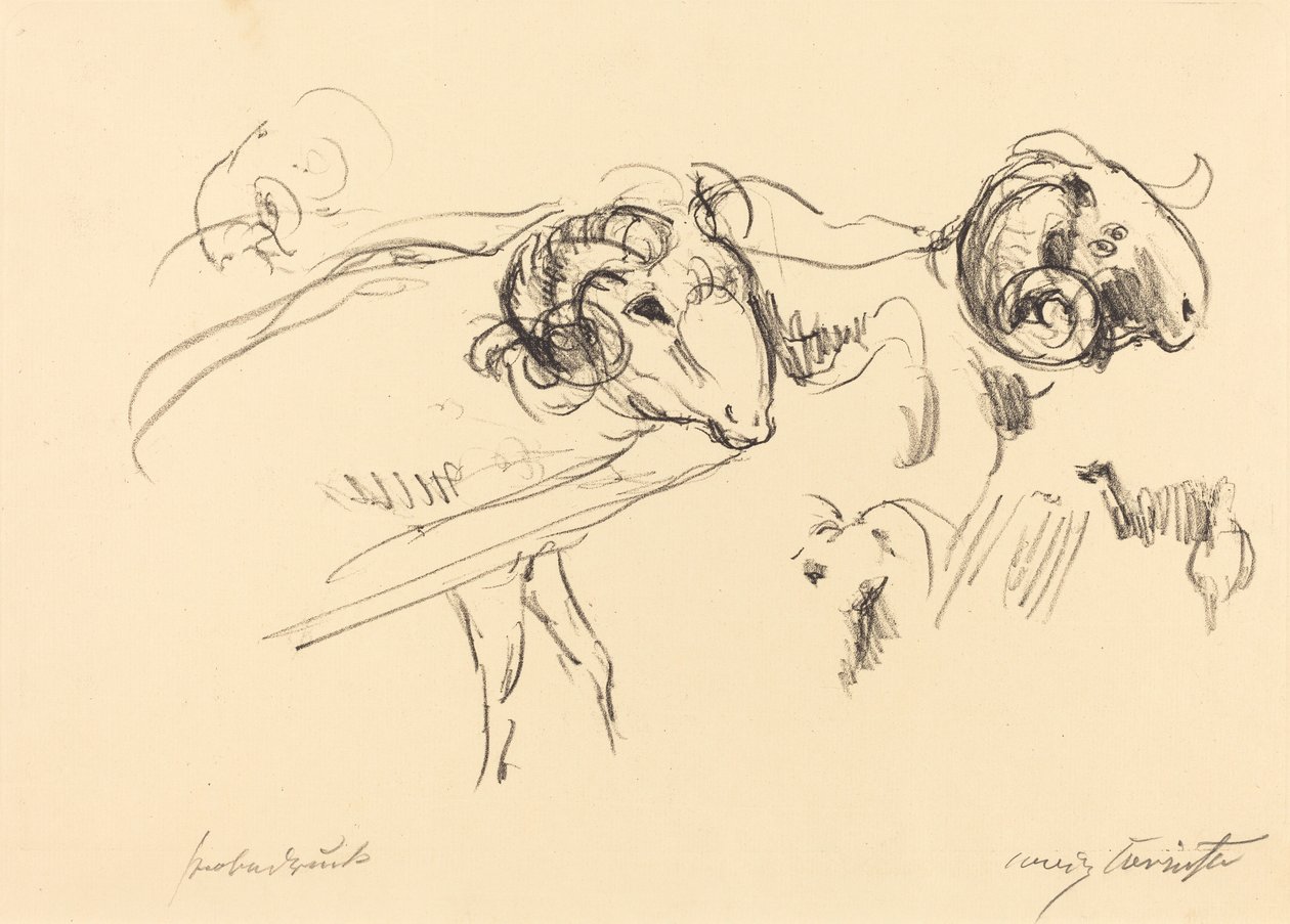 Schafböcke (kosok) alkotó: Lovis Corinth