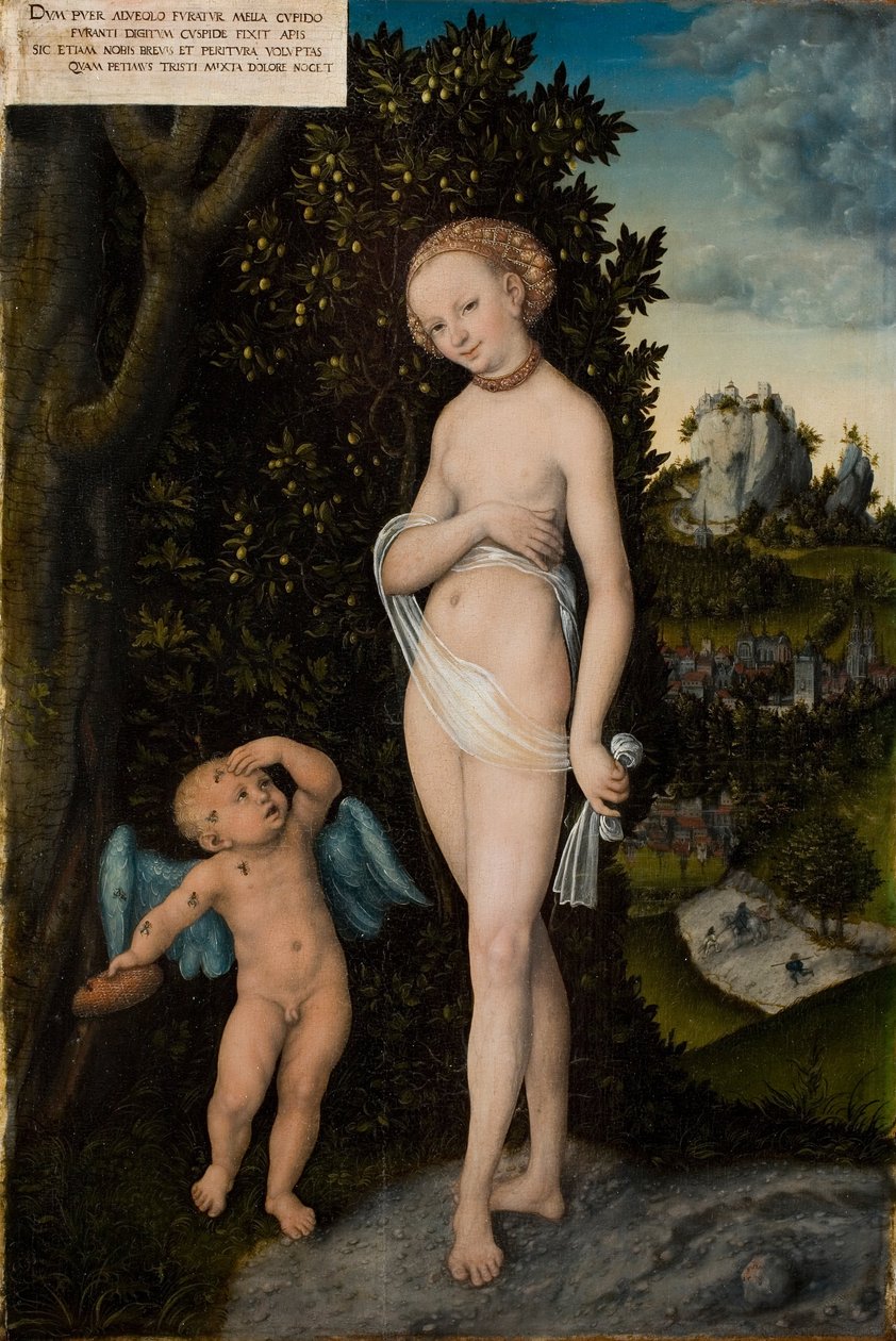 Vénusz Ámor lopó mézzel alkotó: Lucas Cranach the Elder