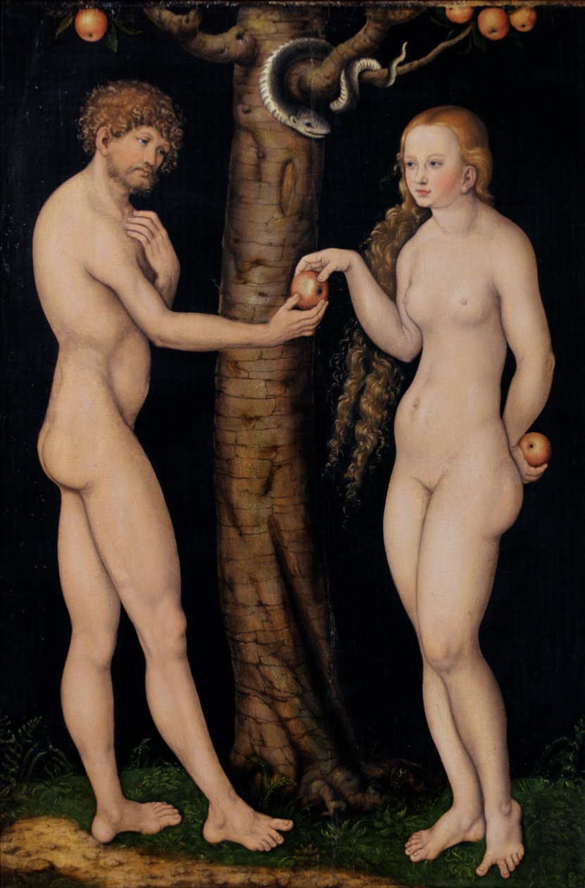 Ádám és Éva az Édenkertben, 1520-25 körül (olaj, fa) alkotó: Lucas Cranach the Elder