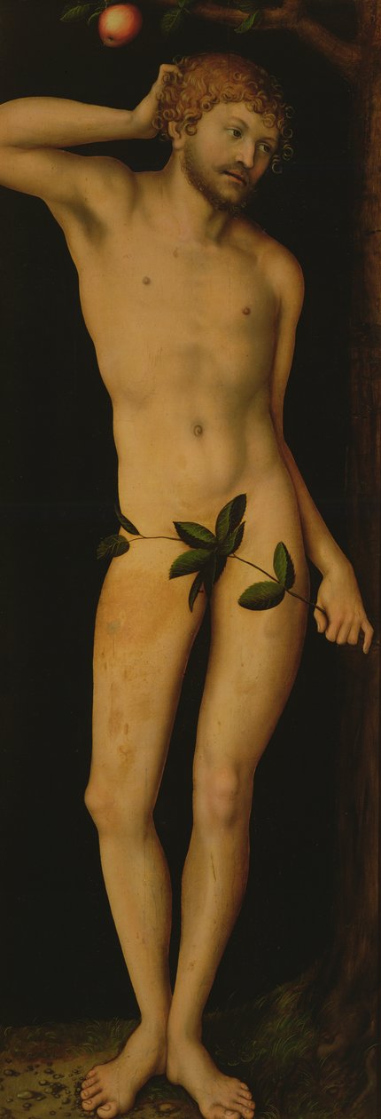 Ádám, 1528 alkotó: Lucas Cranach the Elder
