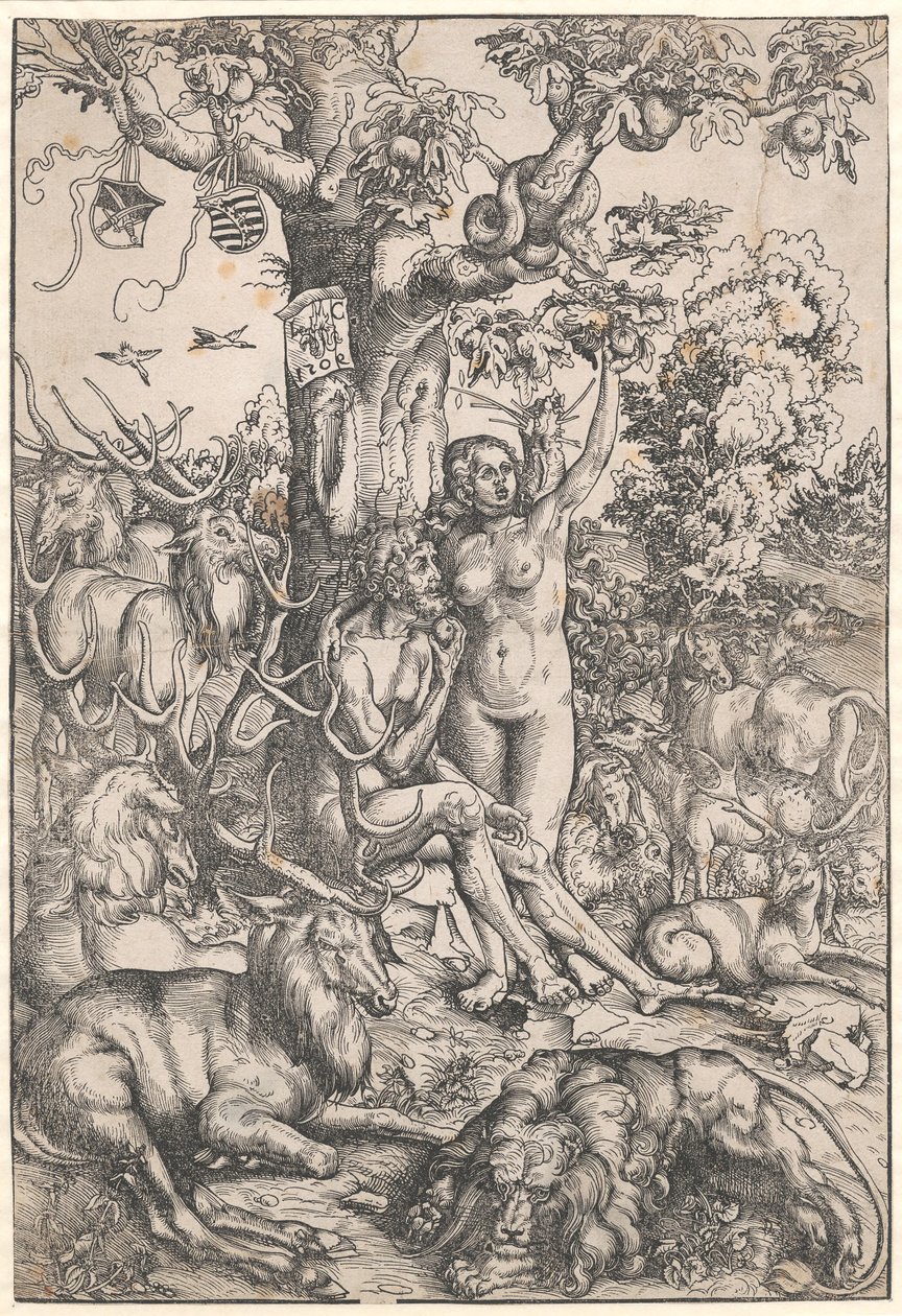 Az ember bukása alkotó: Lucas Cranach d.Æ.