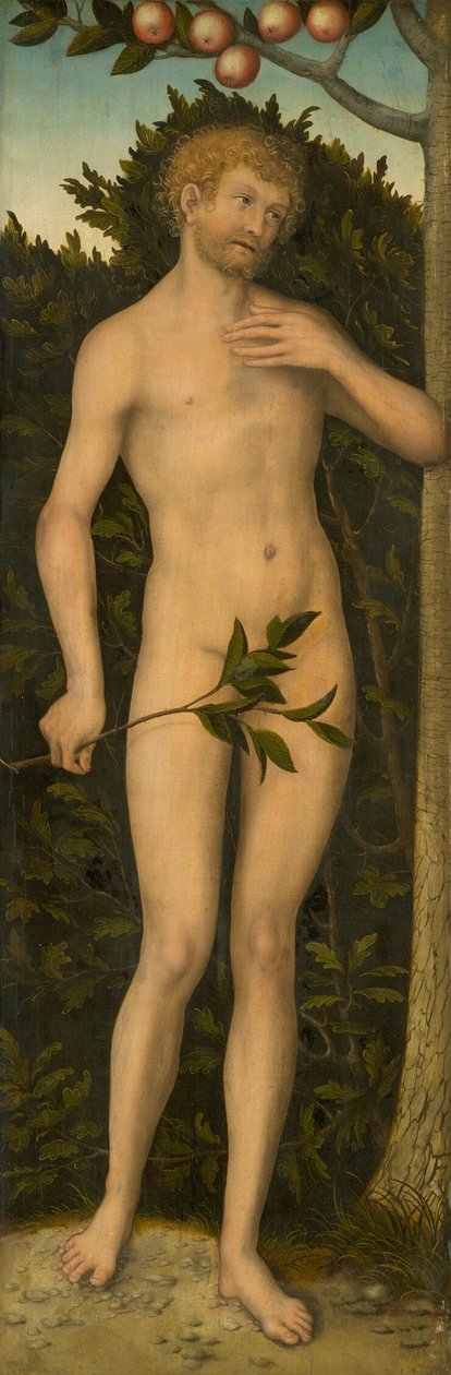 Adam alkotó: Lucas Cranach the Elder
