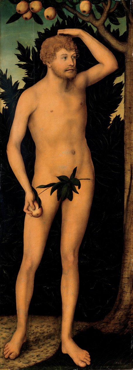 Ádám, 1537 után alkotó: Lucas Cranach the Elder