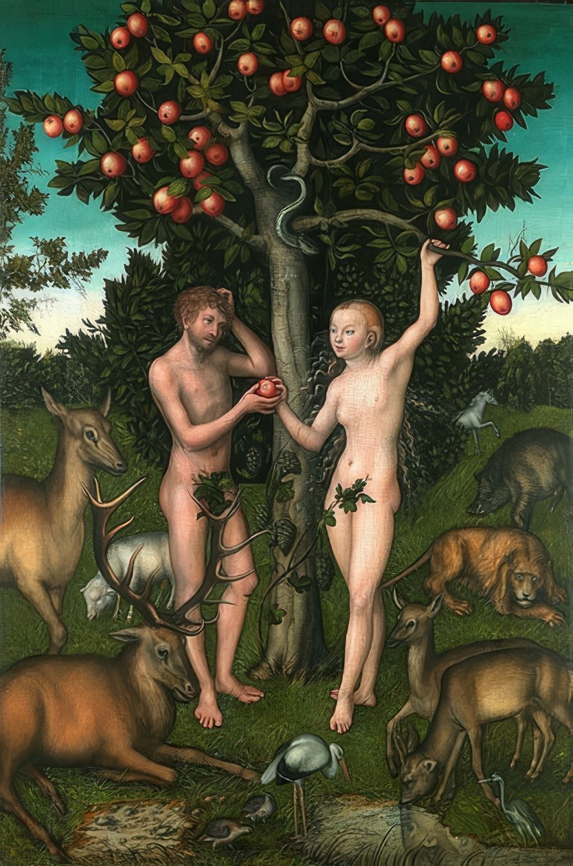 Ádám és Éva. 1526 alkotó: Lucas Cranach the Elder