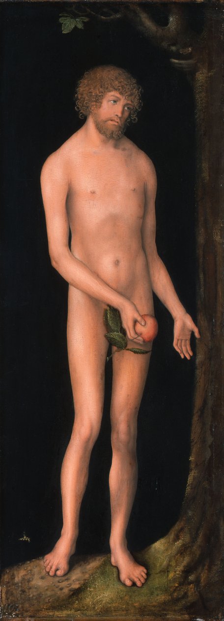 Német: Adam Adam alkotó: Lucas Cranach the Elder