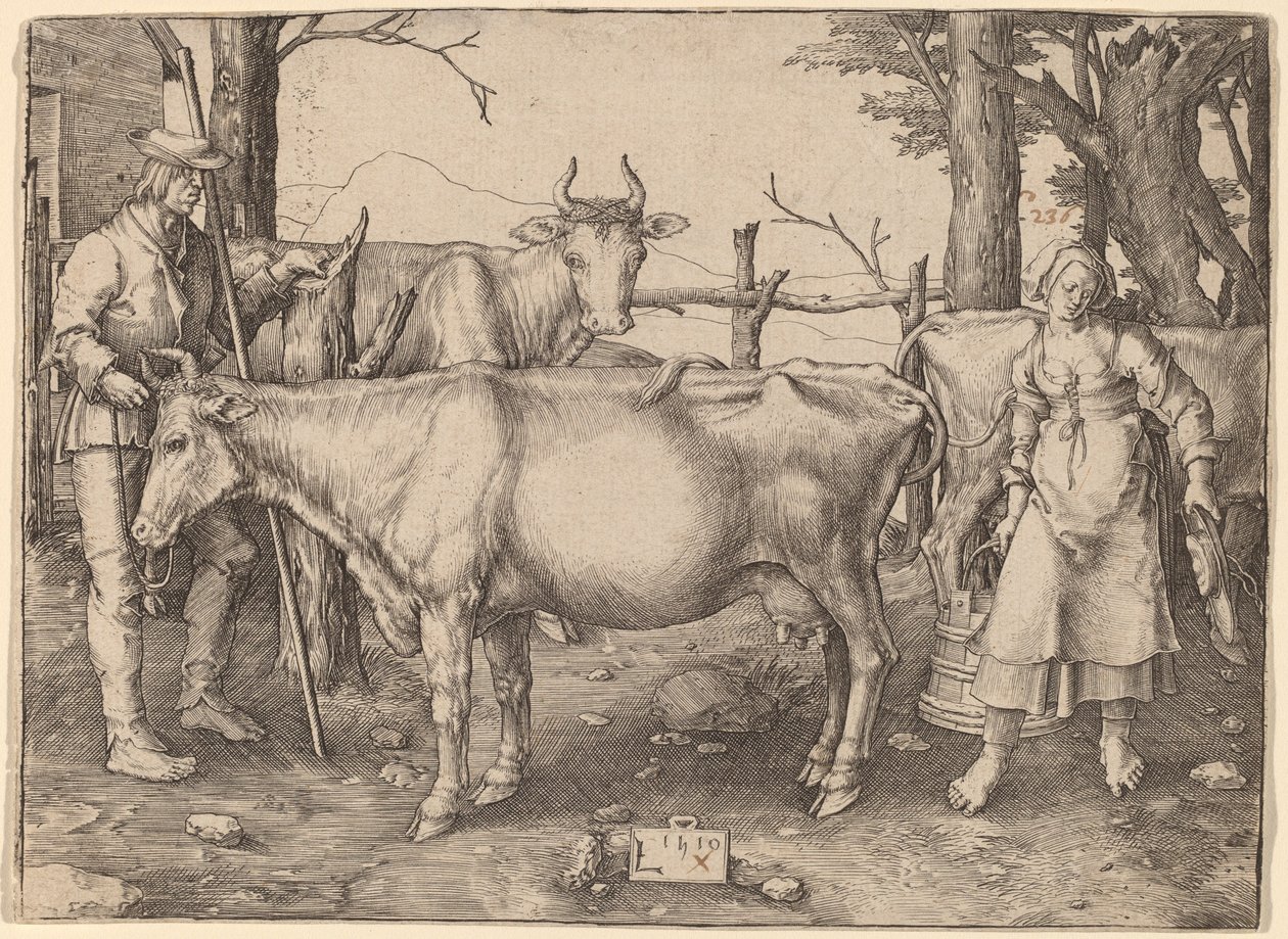A tejeslány alkotó: Lucas van Leyden