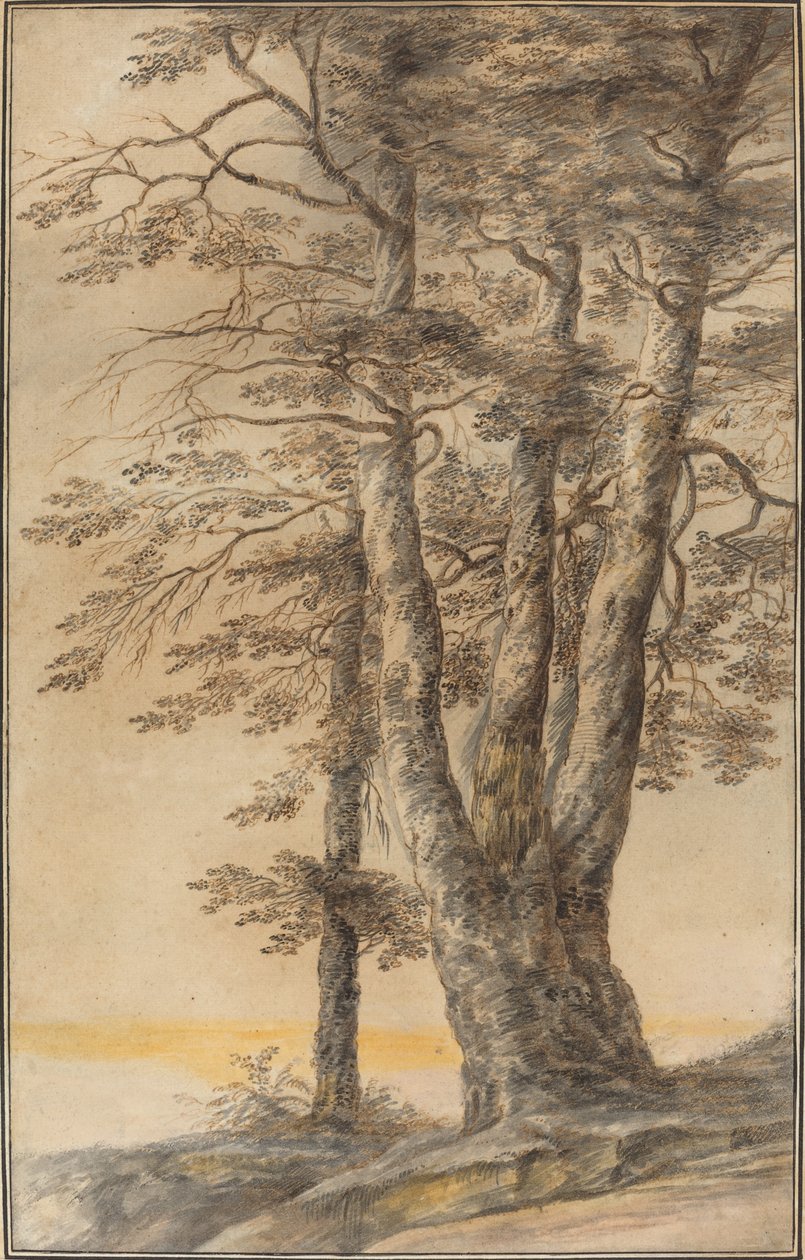 Fák tanulmányozása alkotó: Lucas van Uden