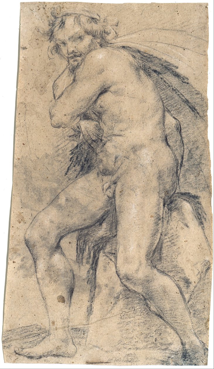 Férfi akt (Hercules) alkotó: Ludovico Carracci