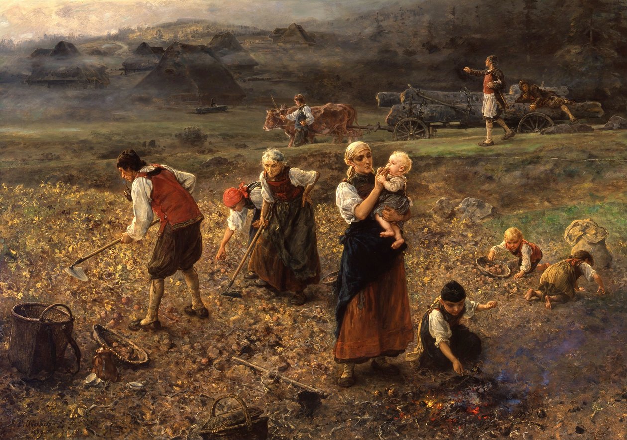 Burgonyabetakarítás alkotó: Ludwig Knaus