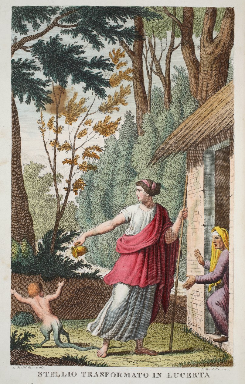 Egy fiú gyíkká vagy Ntellio Transformato in Lucerta, V. könyv, illusztráció Ovidius Metamorfózisaiból, Firenze, 1832 (kézzel színezett metszet) alkotó: Luigi Ademollo