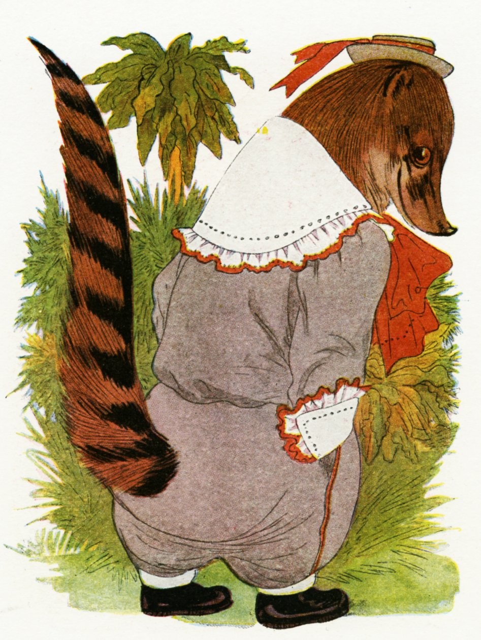 Coati, 1913 alkotó: Martin Ross