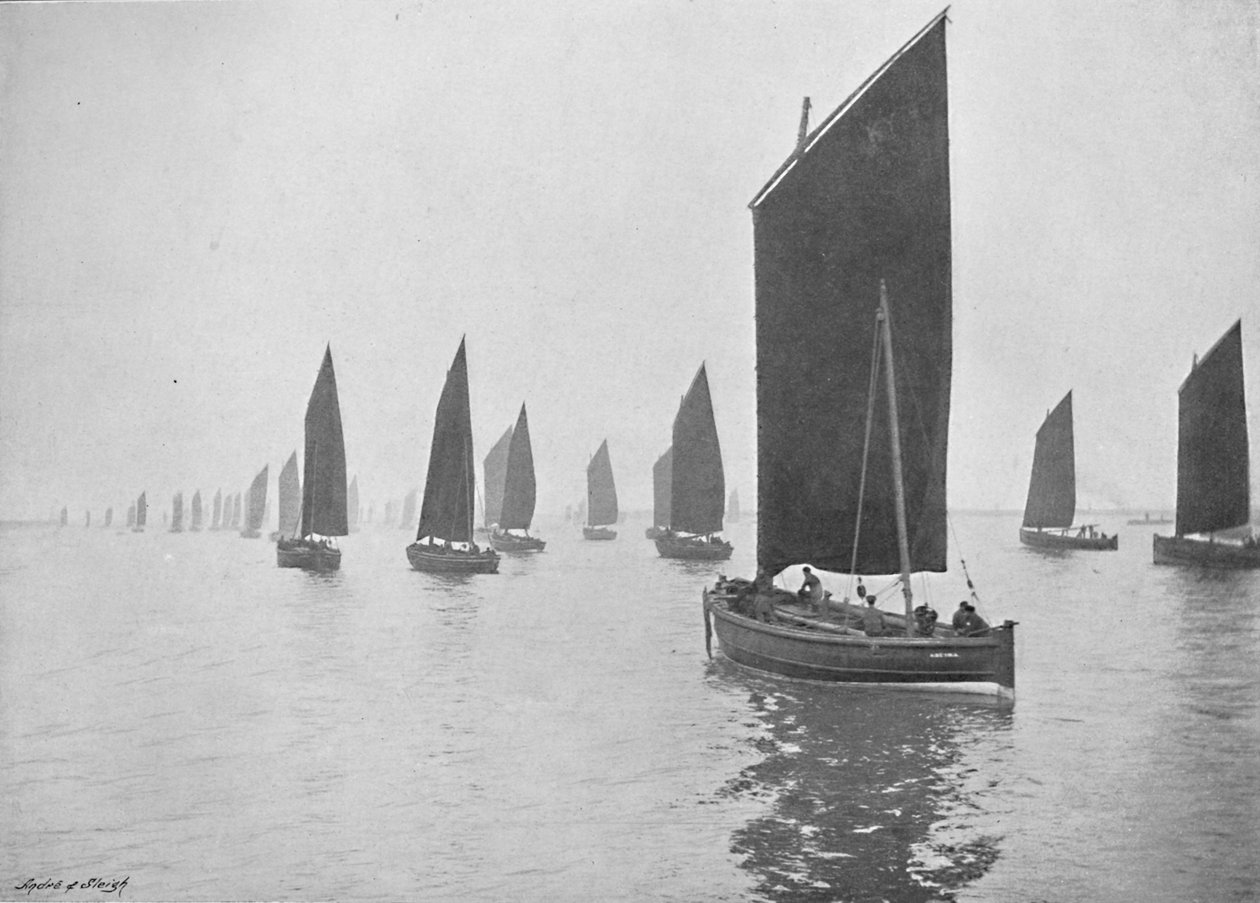 Herring Boats Off the Tyne, c1896 alkotó: M. Aunty