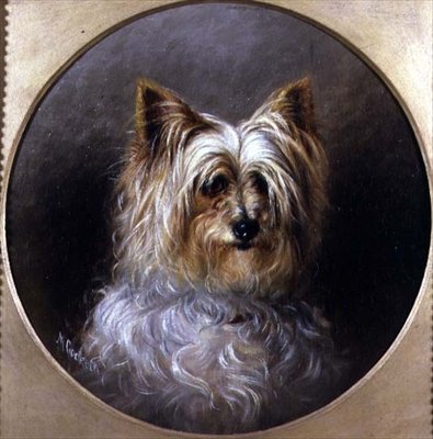 Egy yorkshire terrier fejtanulmánya alkotó: M. Cocker