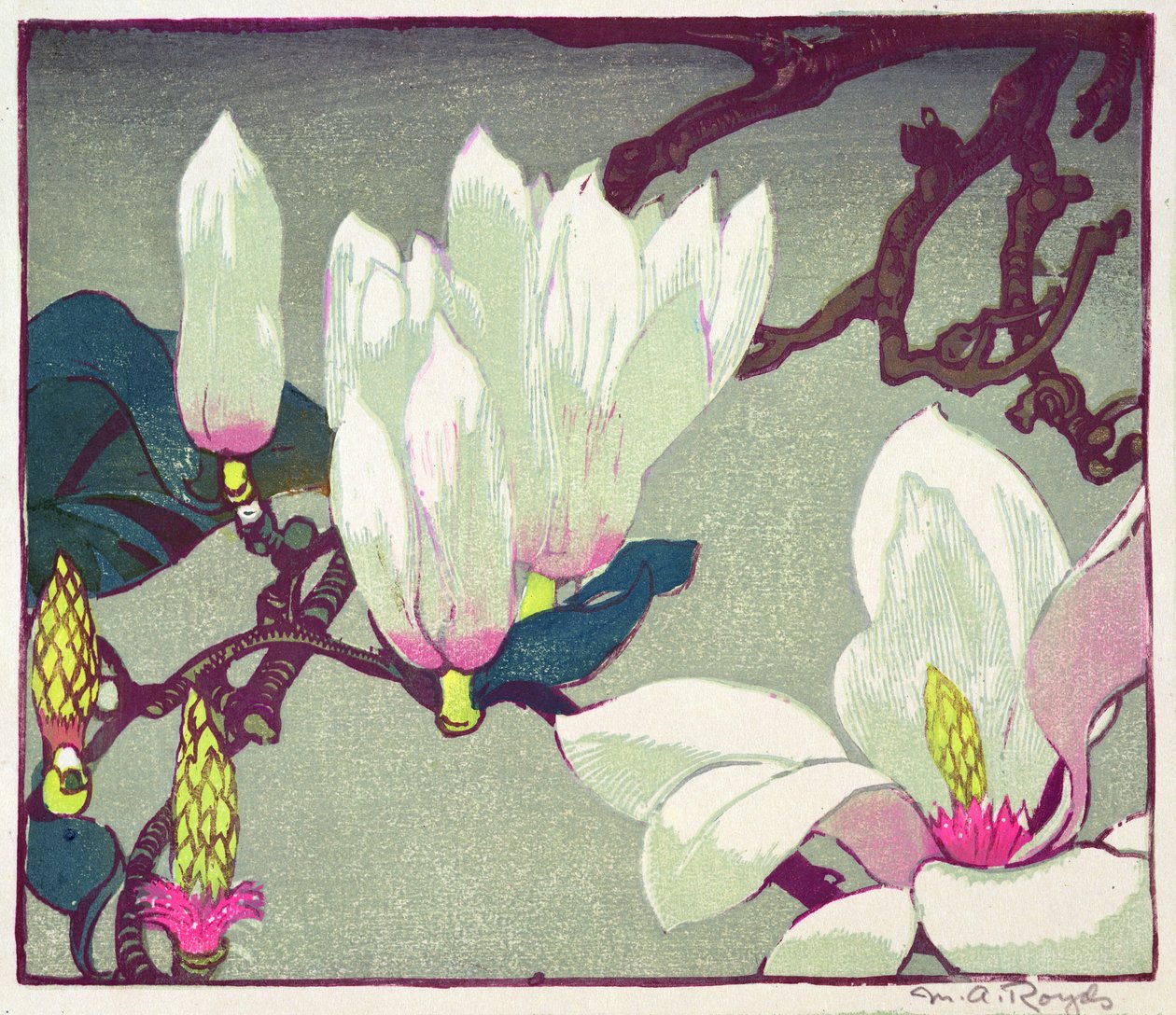 Magnólia, 1925 körül (fanyomat) alkotó: Mabel Royds