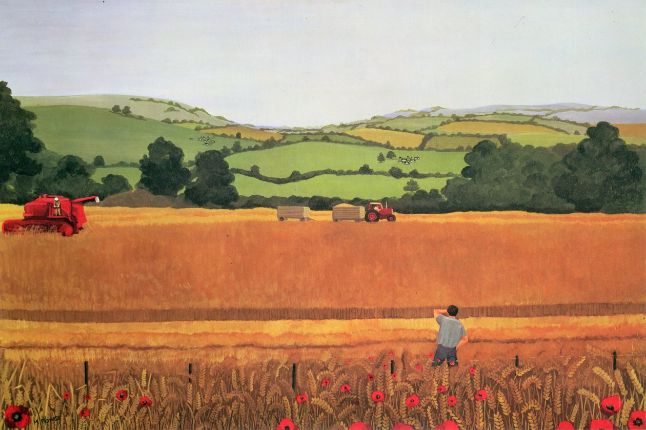 Betakarítás Cotswoldsban alkotó: Maggie Rowe