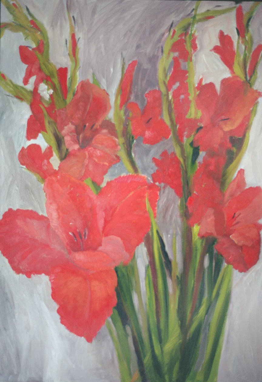 Vörös Gladioli alkotó: Margaret Norris