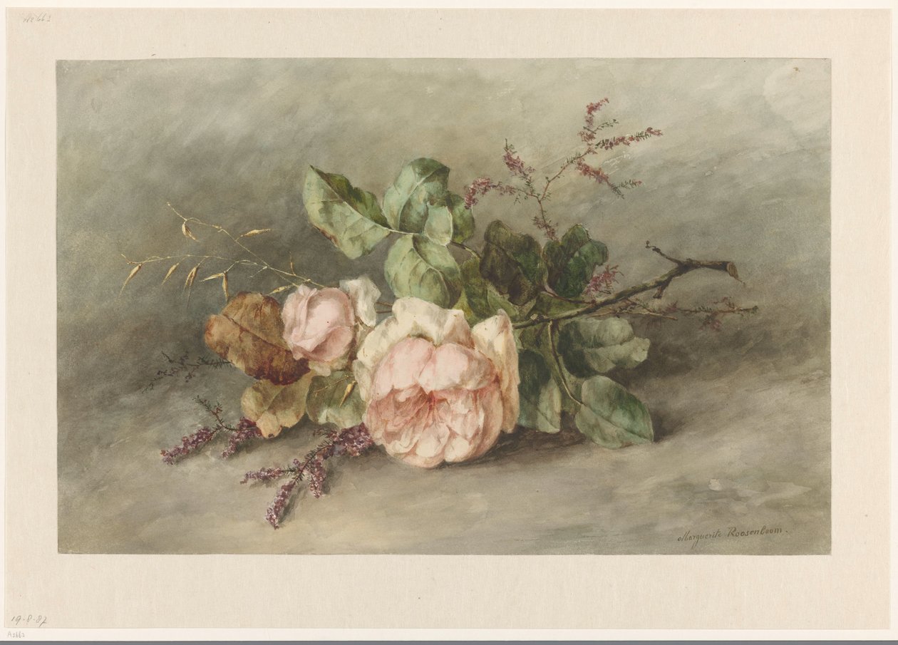rózsákat alkotó: Margaretha Roosenboom