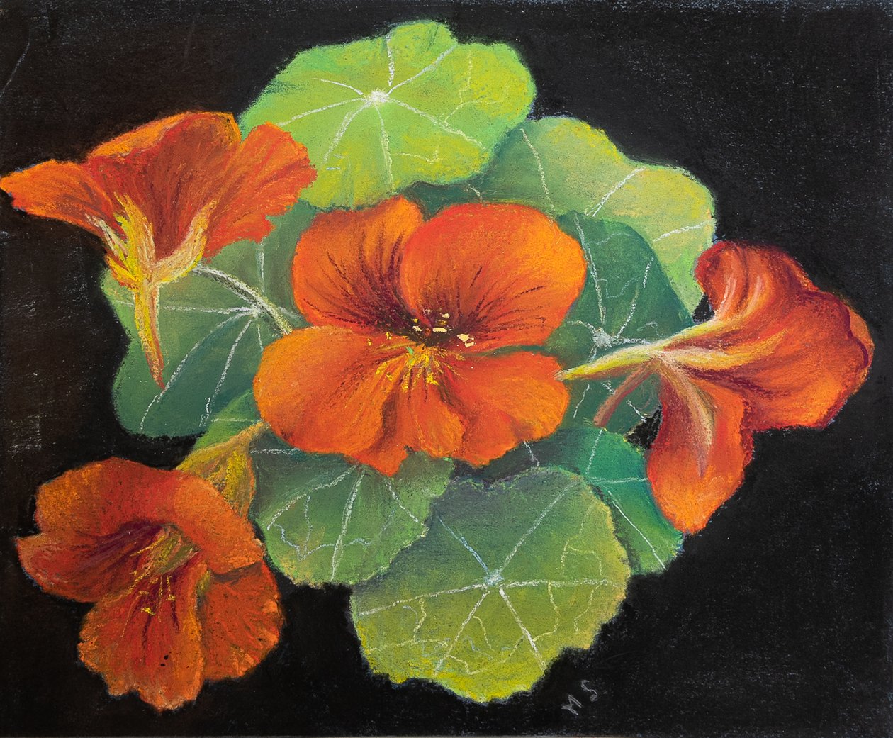 Nasturtiums, 2020 (pasztell) alkotó: Margo Starkey