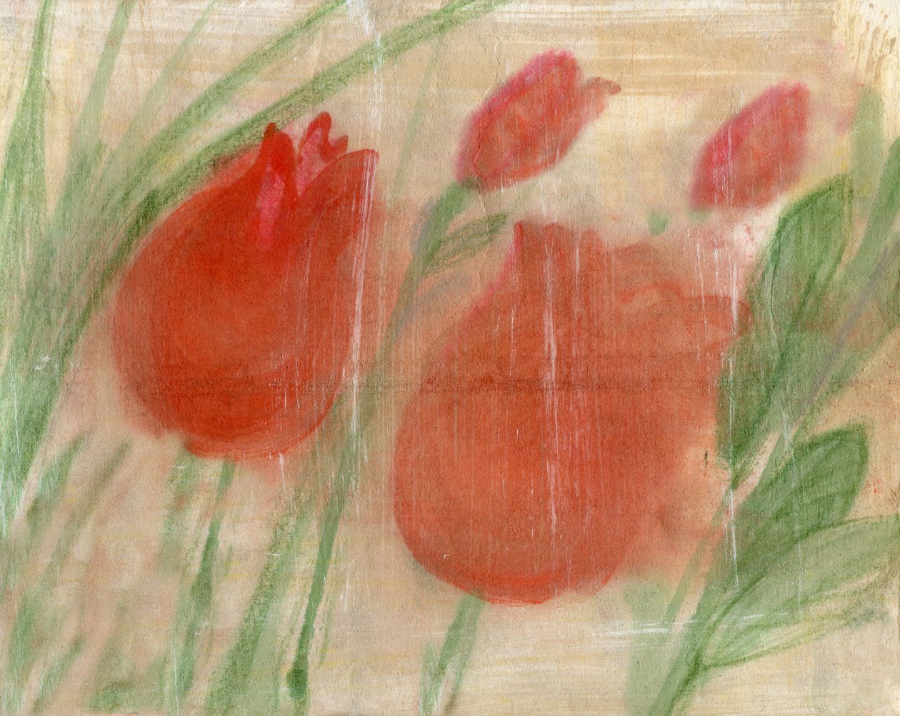 Piros tulipánok alkotó: Marina Falco