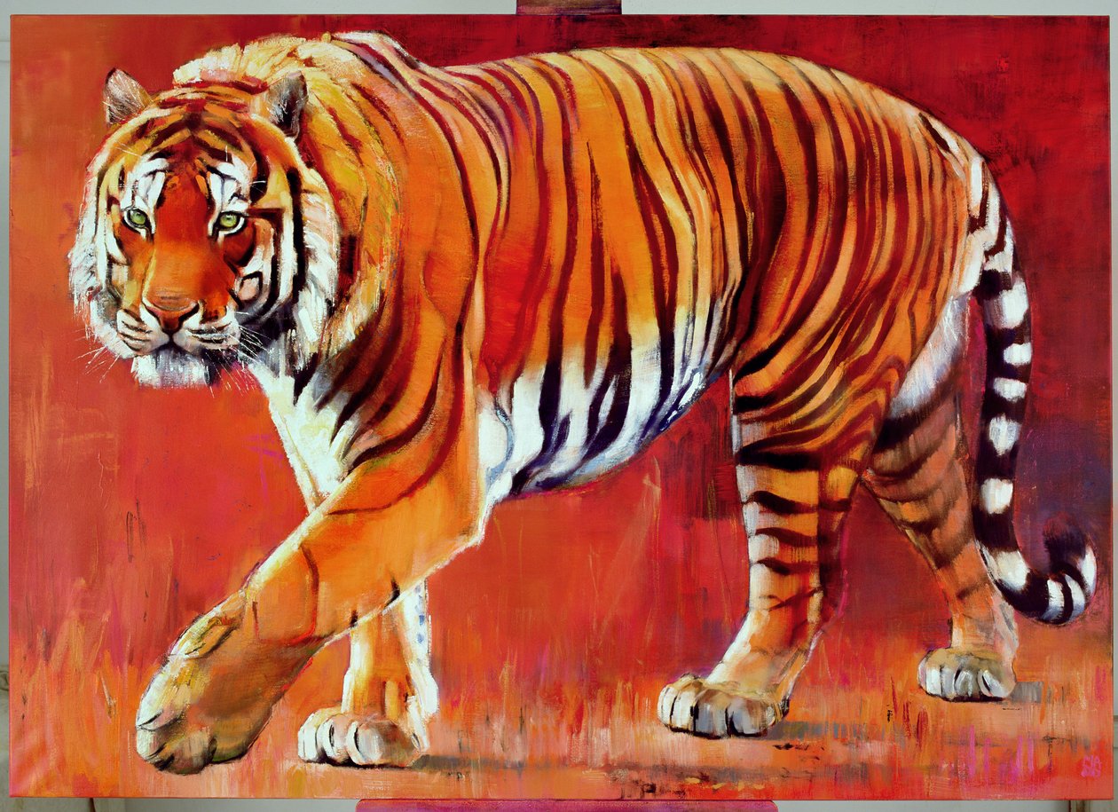 Bengáli tigris alkotó: Mark Adlington