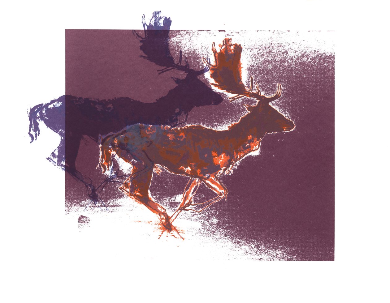 Fallow Bucks (narancslila), 2015, (szitanyomás) alkotó: Mark Adlington
