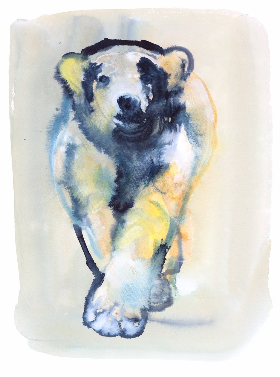 Fearless, 2015, (akvarell és gouache papíron) alkotó: Mark Adlington