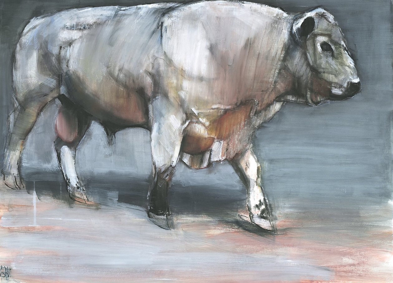 Fresno, Galloway Bull (vegyes média papíron) alkotó: Mark Adlington