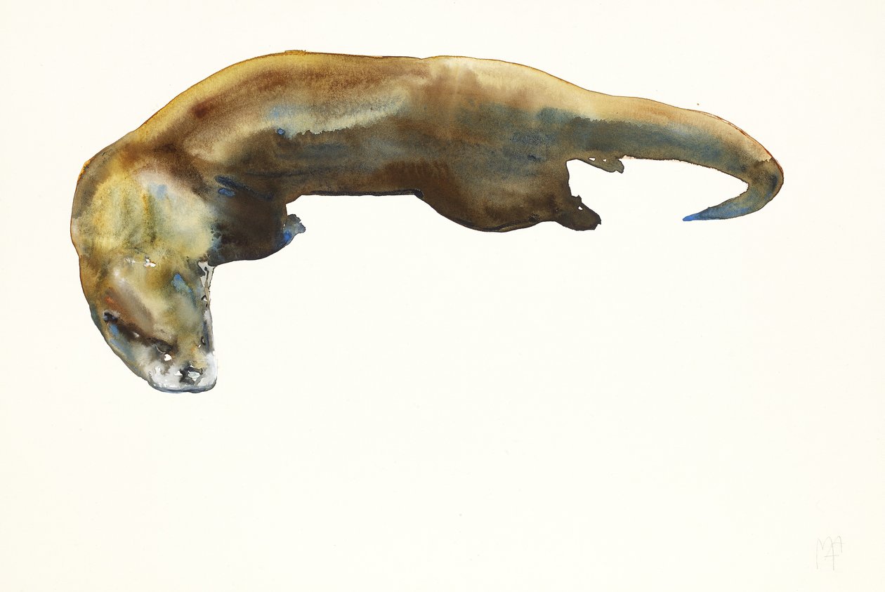 Arany, akvarell papíron (2014) alkotó: Mark Adlington