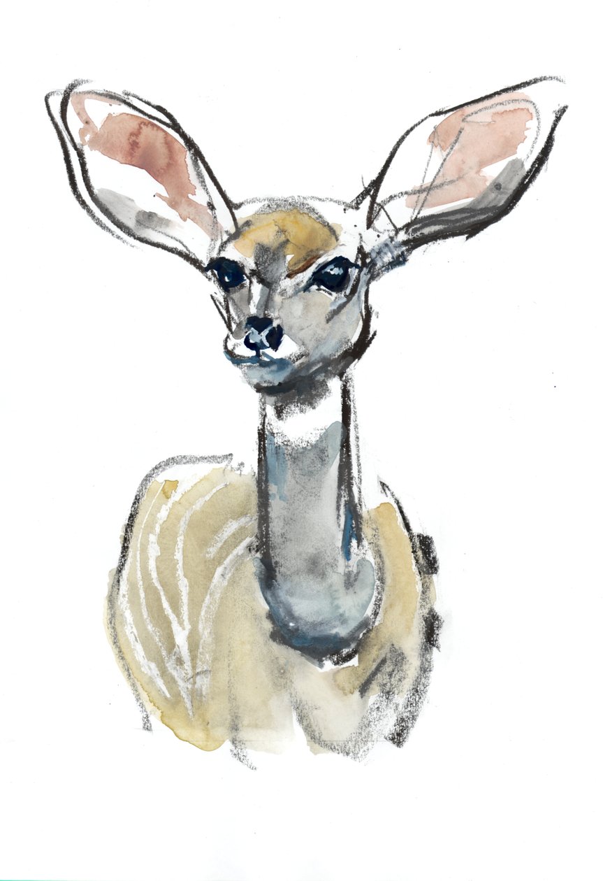 South Fawn, Sarara, 2018 alkotó: Mark Adlington