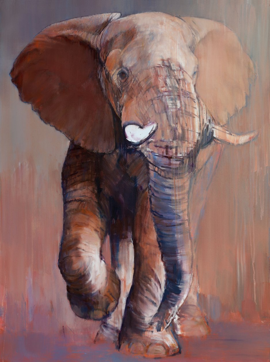 Loisaba Bull, 2018 alkotó: Mark Adlington